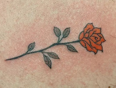 rose tattoo